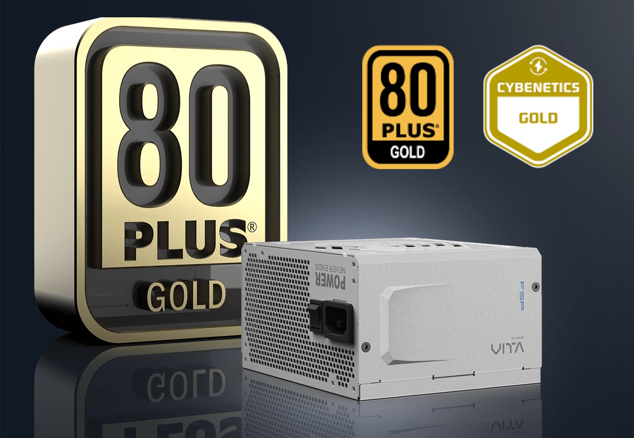 【電源】VITA GM 850W VITA GM | 電源 (PSU) | FSP
